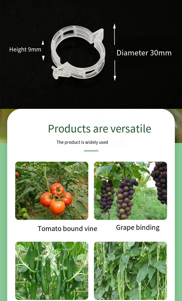 Vine hanging vine green plant vine fixation clip pepper eggplant fixer seedling plant clip factory