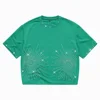 Menta