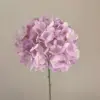 สีม่วงอ่อน