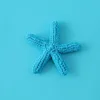 Estrella de mar