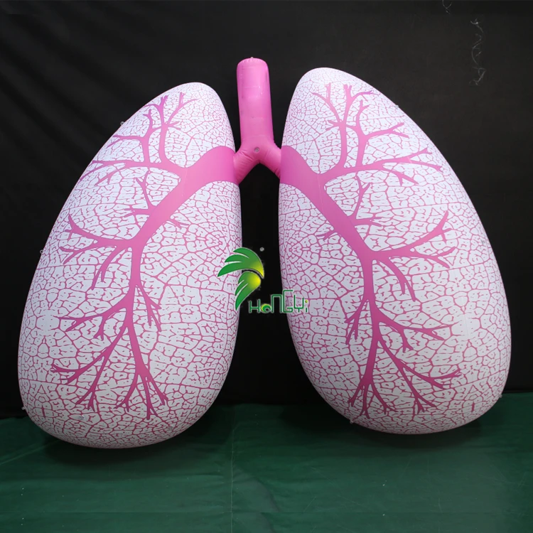 Inflatable Lung Display Alibaba.com: Pink Lung Shaped Balloon, Inflatable Organ Model for ...