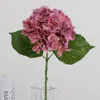 Rosa polvorienta