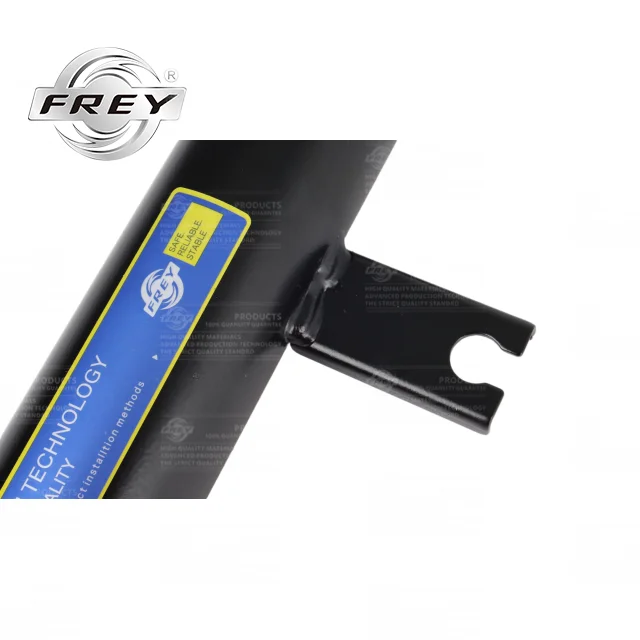 33526879356 Frey Auto Parts Suspension Rear Shock Absorber For BMW  