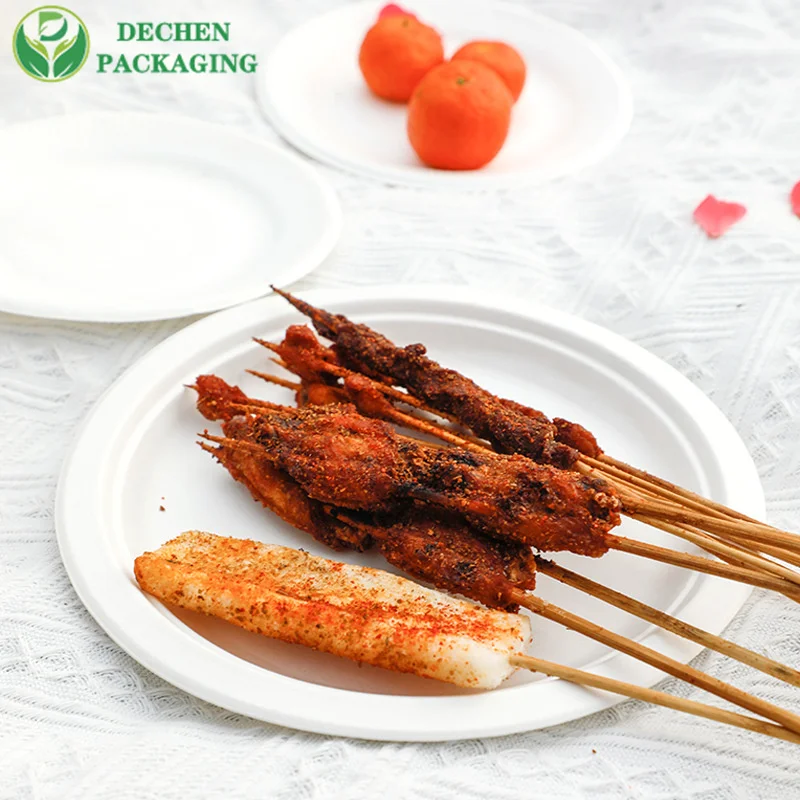 12 inch Dinner Plates Disposable