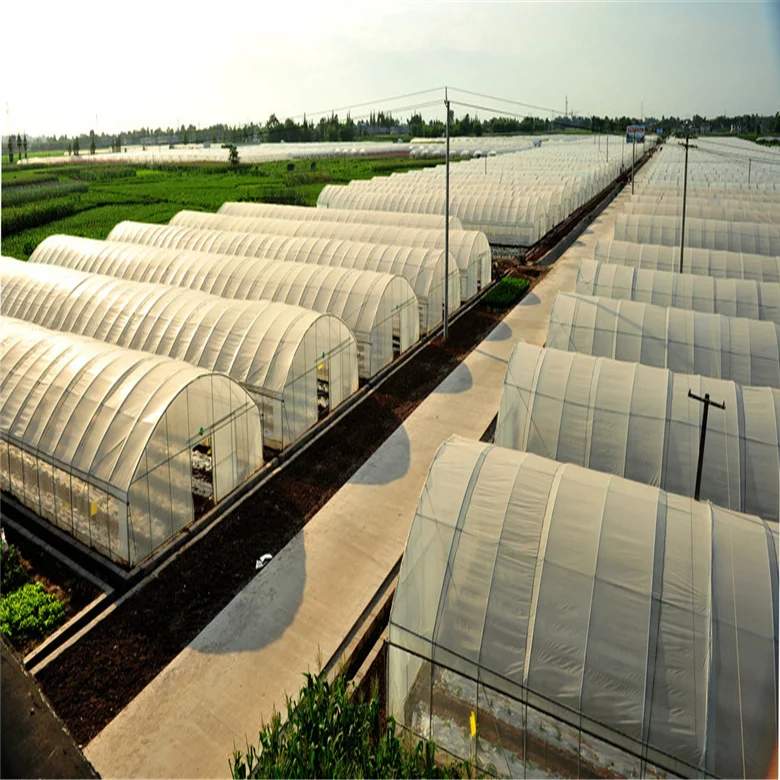 cheap price tunnel farming green houses for agriculture green