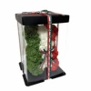 Ours mexicain + coffret cadeau