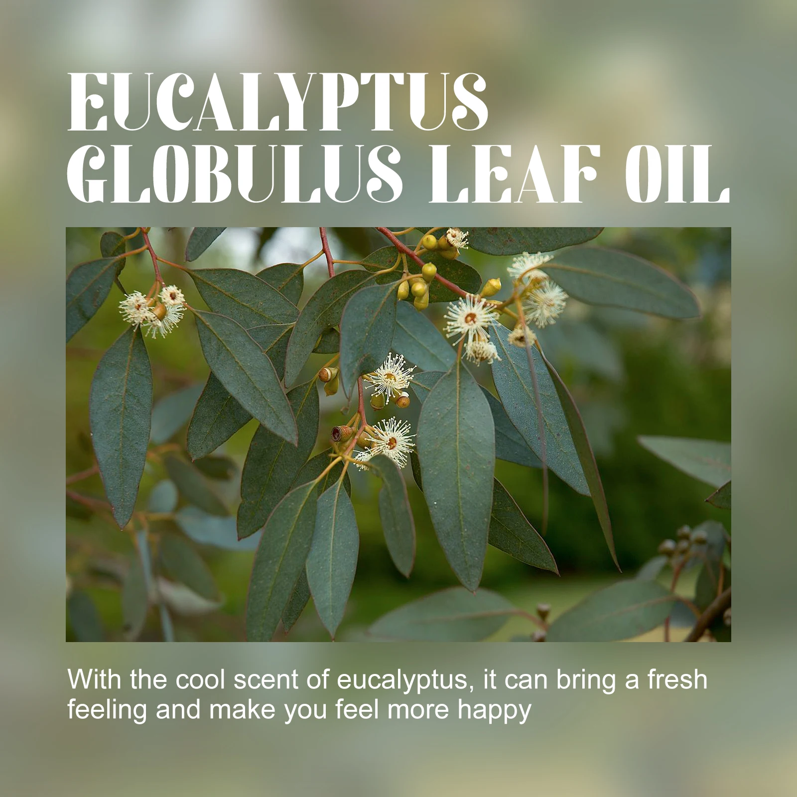 //sc04.alicdn.com/kf/H53a0927d36c943249196ed7269e56a1aJ/284713577/H53a0927d36c943249196ed7269e56a1aJ.jpg_100x100