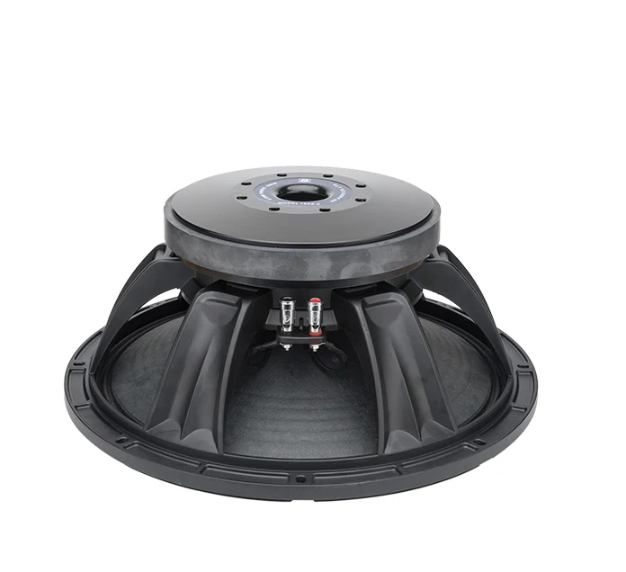Professional 15 Inch Speaker Unit,3 Inch Coil 600 Watt High Power Bass