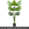 Plantes vertes 2