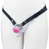 ceinture + cage à anneaux incurvés avec crochet + papillon rose