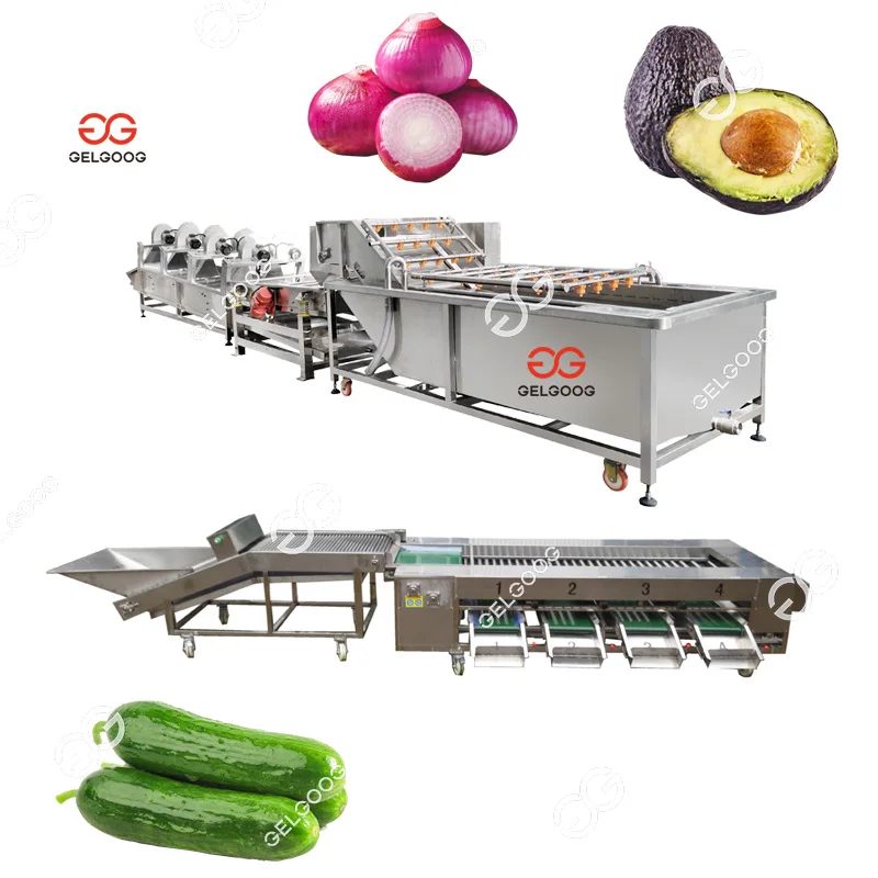 Gelgoog 500Kg/H Avocado Washing and Packing Processing Plant Mandarin Orange Cleaning Sorting Machine for Orange