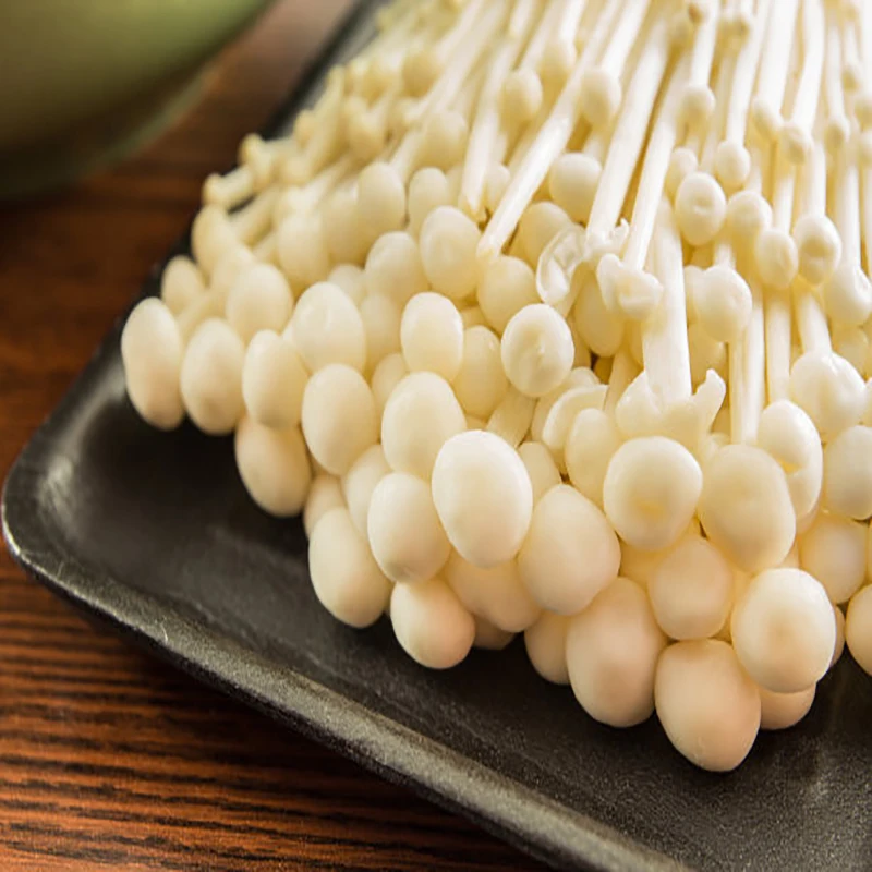 Nutrients Fresh Enokitake/ Enoki / Golden Needle Mushroom For Sale Buy Fresh Enokitake