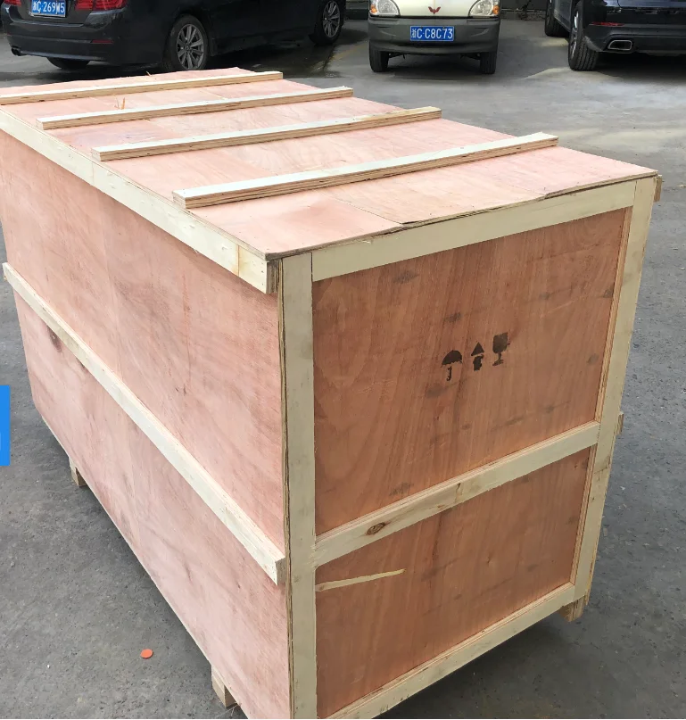  Модернизированная версия: DZ 600/2SA Автоматическая Большая Вакуумная упаковочная машина с двойной