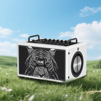 OEM/ODM Full Range Active Speaker Amplifier System Powered Outdoor 220W Watt Active Amplified Professional Speakers