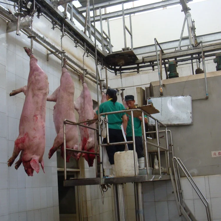 Complete pig slaughtering equipment with cold room for pig process slaughterhouse
