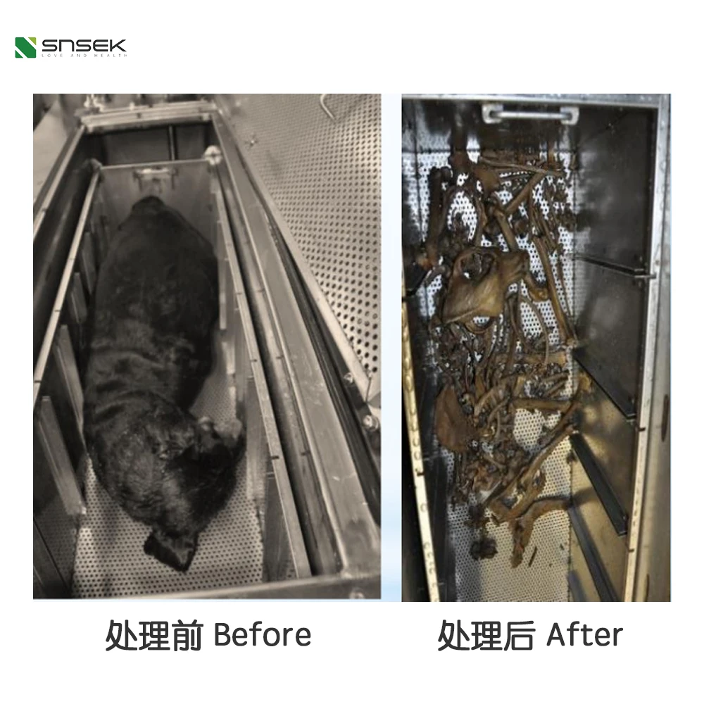 Snsek-SA1000v Aquamation Machine for Animals Bio-Hydrolysis Machine for Pets Water Cremation Machines