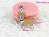 Chihuahua Yellow color