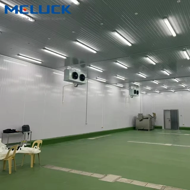 New Restaurant 150mm Panel Thickness Cold Room Freezer Low Temperature Compressor Cold Storage Room