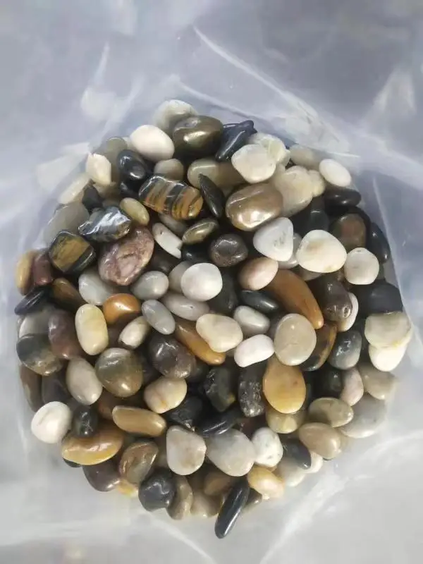 Natural River Pebbles Multicolor Natural Stone Cobbles Buy Cheap