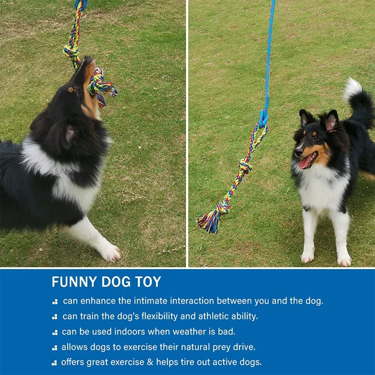 Interactive Dog Toys - Extendable Flirt Pole with 2pcs Braided Rope Tugs  for Dog Outdoor Entertainment, Train and Exercise 