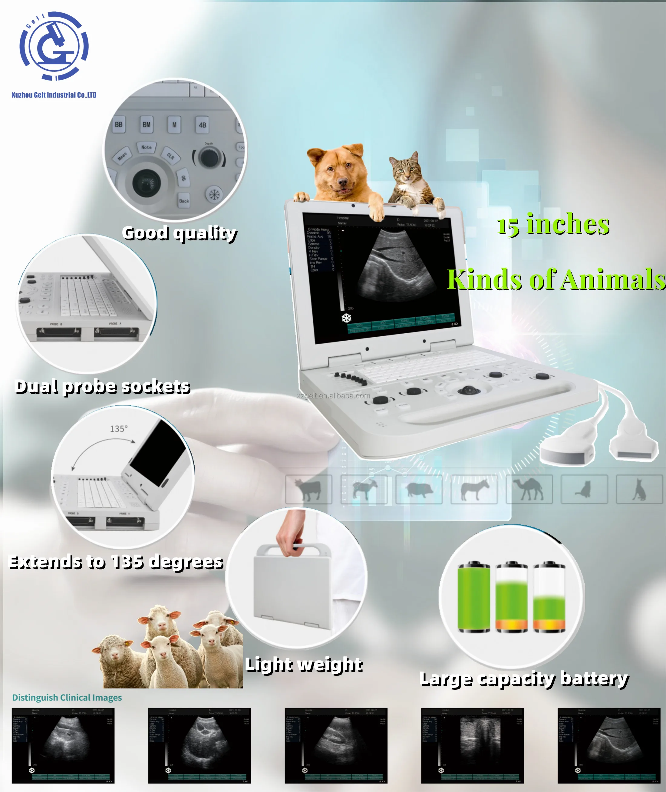 Portable Sheep B-ultrasound Veterinary Ultrasound For Various Animals ...