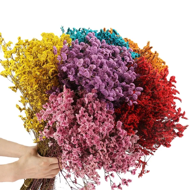 preserved flowers with stems wholesale dried flowers eternal crystal grass limonium dried flower for wedding events decor