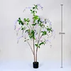 Purple weeping jasmine bonsai, 210cm