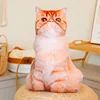 Garfield the cat