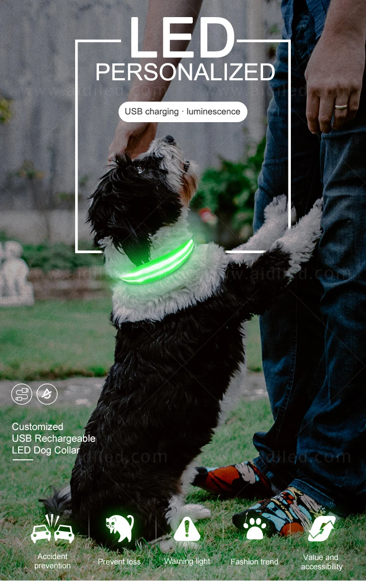 Collar De Perro Led Nylon Dog Collars Light Up Outdoor USB Rechargeable Safety in Dark Pet Collar with Led