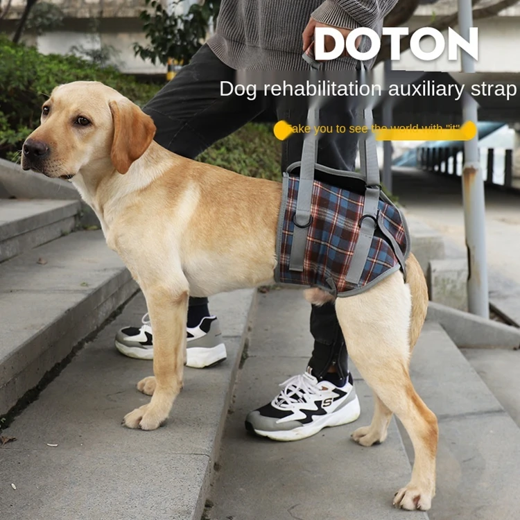 padded easy walk harness