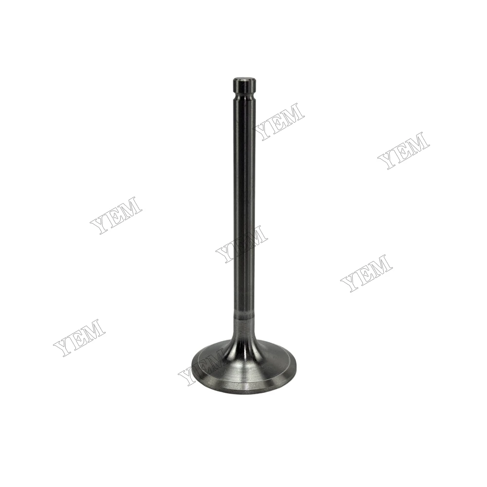 Intake Valve Fit for Yangdong Y4102D Engine 3