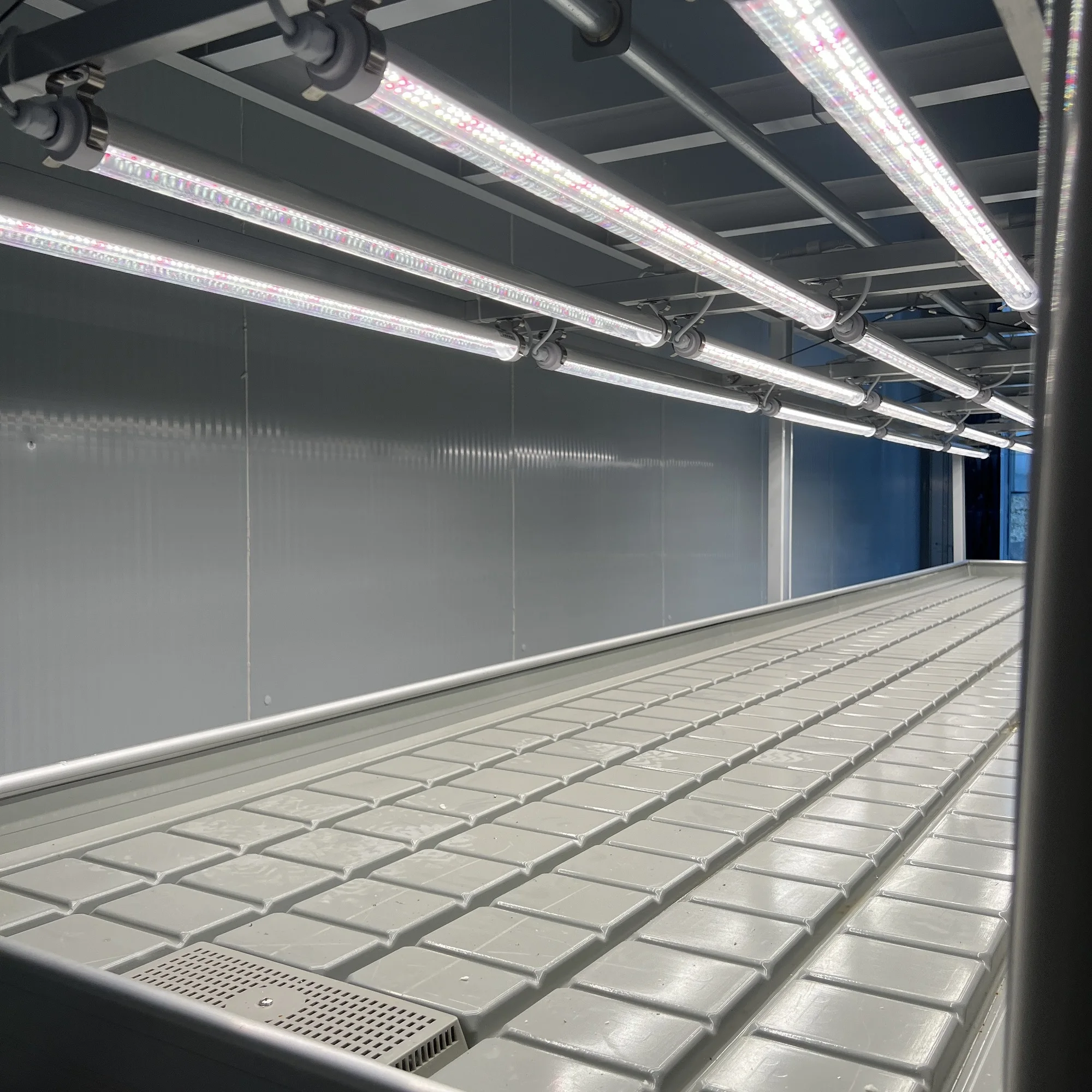 MYXL 4x8ft Indoor Farming Vertical Multi Layer Grow Rack Systems ...