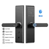 Versione Ble TTLock (APP, Impronta Digitale, Password, Carta, Chiave)