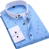 C9-Blue