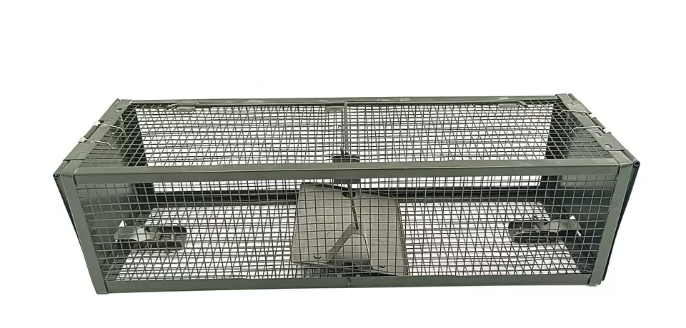 Humane Automatic Double Doors Wire Mesh Metal Live Chipmunk Mouse Rodent Rat Trap Cage Big Type for House Garden