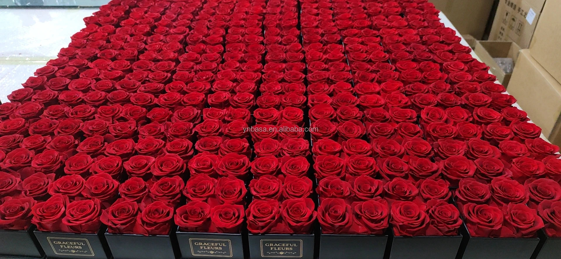 Elegant Beautiful Luxury Preserved Dried Roses Flower Everlasting Red