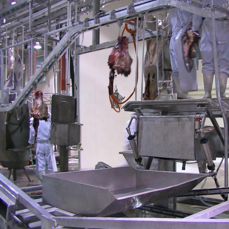 Ceremonial cattle slaughterhouse slaughtering equipment for beef halal turnkey slaughterhouse