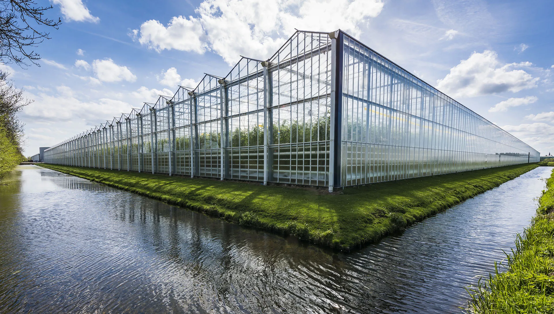 ArtStation - ECOFARM on an area of 14.5 ha