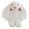 Conejo blanco