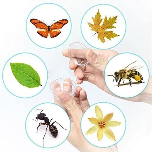 Attrape-Mouches Et Insectes Pour Enfants - Longue Poignée 28cm, Fenêtre D'Observation Grossissante 5x - Outil D'Exploration Nature Inoffensif - 8