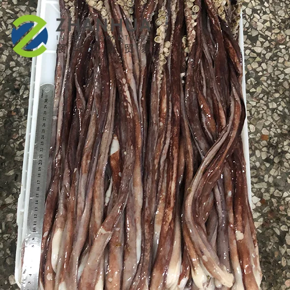 Tentacle En Forme De Calmar 1 Piece Prix Vente En Gros Qqf Bqf Tentacle Buy Tentacules De Calmar Geant Jambe Squid Squid Prix Product On Alibaba Com