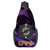 Omega Psi Phi 13