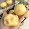 Blocchi di Patate Croccanti