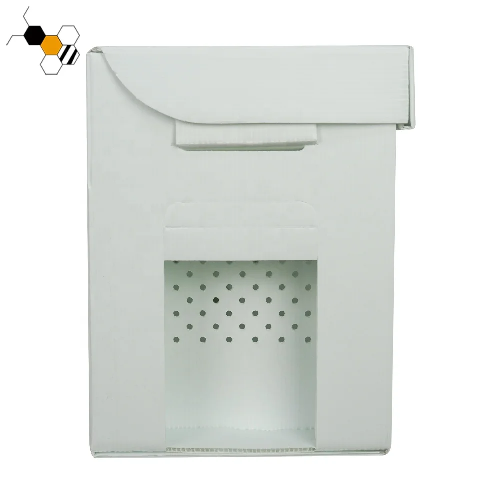 Customized PP 5 Frames Langstroth Cardboard Nuc Box Plastic Beekeeping Nucleus for Bees
