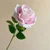 05-Rosa claro