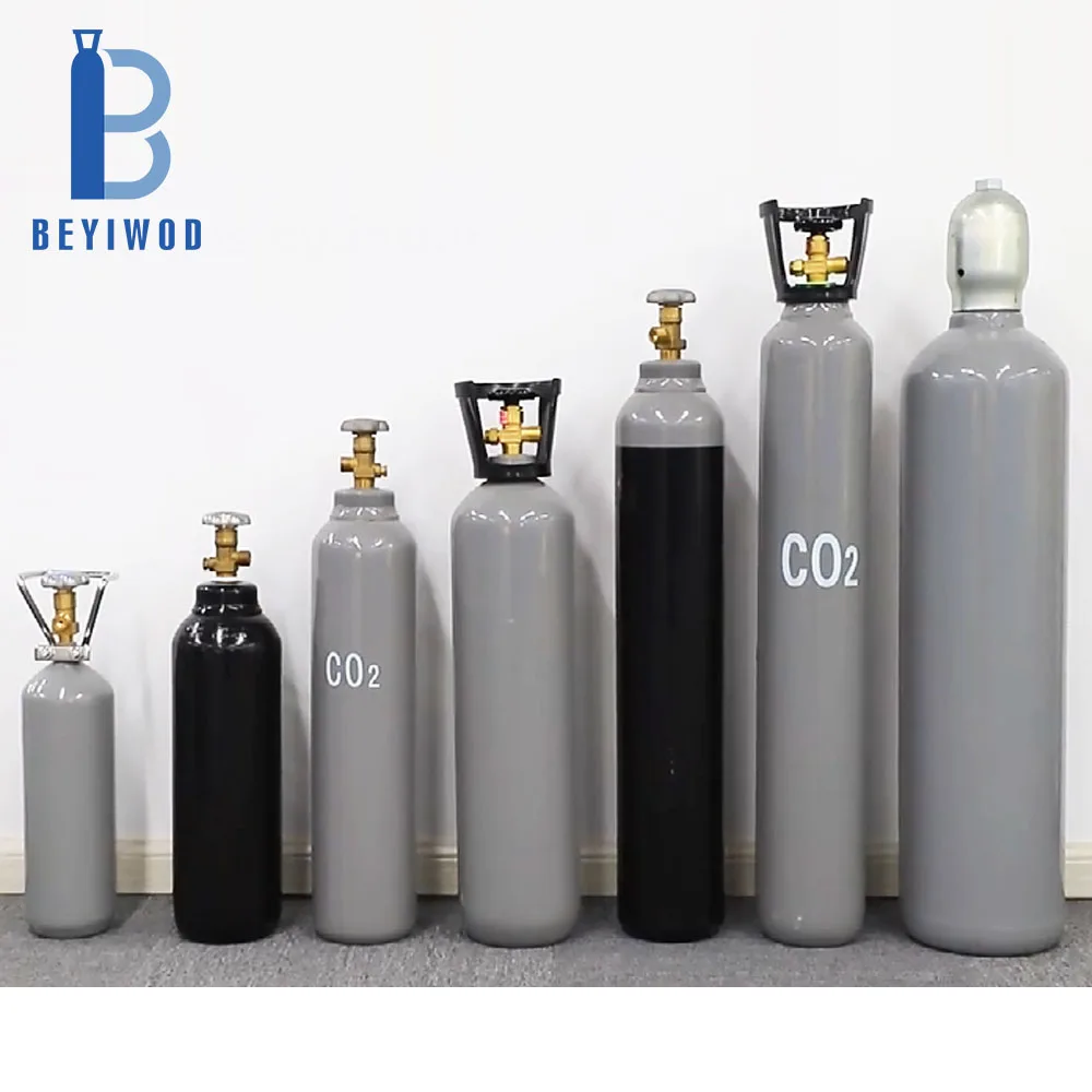 BEYIWOD 2L 5L 8L 10L 15L 20L 40L 50L 68L Botol Baja Karbon Dioksida Co2 Tangki Gas Silinder untuk Pemadam Api Minuman Akuarium