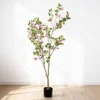 Baby Pink,Green Leaf
