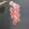 Rosa cipria maculato