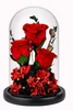Rouge (12X20 cm) 3 roses