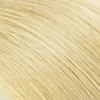 #613-Golden Platinum